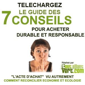 Téléchargez le guide des 7 conseils pour un achat<br>  durable et responsable