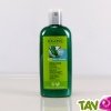 Lait corporel bio alo�s bio et citron vert Logona