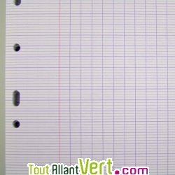 Feuilles simples recycl�es Grand carreaux A4, lot de 50, Forever