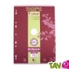 Feuilles simples recycl�es Grand carreaux A4, lot de 50, Forever