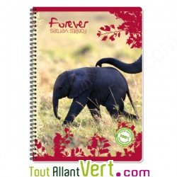 Cahier recycl� spirale petits carreaux 100p 70g Forever Th�me animaux
