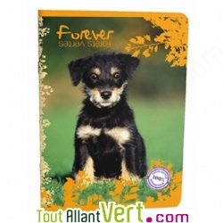 Cahier recycl� A4 Petits Carreaux 96p 70g Forever Th�me Animaux