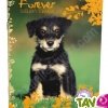 Cahier recycl� Forever 70g 96p Grands Carreaux A4 ou 24x32 Th�me Animaux