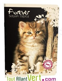 Cahier recycl� Forever 70g 96p Grand Carreaux 17x22cm Chaton assis