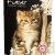 Cahier recycl� Forever 70g 96p Grand Carreaux 17x22cm Chaton assis