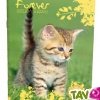 Cahier recycl� Forever 70g 96p Petits Carreaux A4 Th�me Animaux
