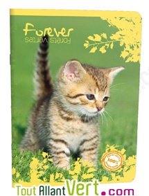 Cahier recycl� Forever 70g 96p Grand Carreaux 17x22cm Chaton debout