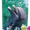 Cahier recycl� Forever 70g 96p Grands Carreaux A4 Dauphin