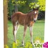 Cahier recycl� Forever 70g 96p Grand Carreaux 17x22cm Poulain