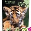 Cahier recycl� Forever 70g 96p Petits Carreaux A4 Tigre