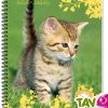 Cahier recycl� � spirale Forever 70g 100p Grands carreaux Th�me animaux