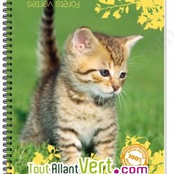 Cahier recycl� � spirale Forever 70g 100p Grands carreaux Th�me animaux