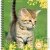 Cahier recycl� � spirale A4 70g 100 pages Grands carreaux Chat debout