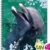 Carnet � spirale recycl� 11x17cm Forever 70g 100p Petits carreaux Th�me animaux