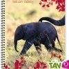 Cahier recycl� � spirale A4 70g 100 pages Grands carreaux El�phant