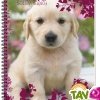 Carnet recycl� � spirale 11x17cm 70g 100 pages Petits carreaux Chiot blanc