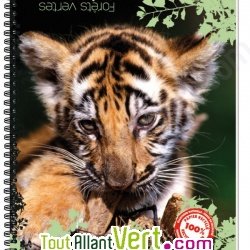 Cahier recycl� � spirale Forever 70g 100p Petits carreaux Th�me animaux
