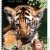 Cahier recycl� � spirale A4 70g 100 pages Grands carreaux Tigre