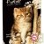 Agenda scolaire recycl� 2008-2009 Forever 384 pages 12x17cm Chat assis