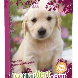 Agenda scolaire recycl� 2008-2009 Forever 1 jour par page 384 pages 12x17cm