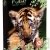 Agenda scolaire recycl� 2008-2009 Forever 384 pages 12x17cm Tigre