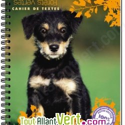 Cahier de textes scolaire recycl� � spirale Forever 70g 148p Th�me animaux
