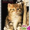 Cahier de textes scolaire recycl� � spirale Forever 70g 148p Chat assis
