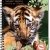 Cahier de textes scolaire recycl� � spirale Forever 70g 148p Tigre