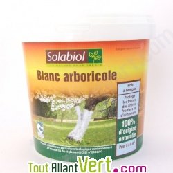 Badigeon blanc naturel pour tronc 1L, Solabiol