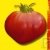 Graines bio Tomate Coeur AB