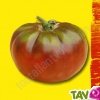 Graines bio Tomate Noire Russe AB