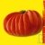 Graines bio Tomate Beefsteak AB