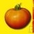 Graines bio Tomate La Carotina AB