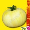 Graines bio Tomate Beaut� Blanche AB
