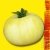 Graines bio Tomate Beaut� Blanche AB