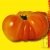 Graines bio Tomate Ananas AB