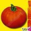 Graines bio Tomate Reine de Saint Marthe AB
