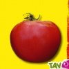 Graines bio Tomate Rose de Berne AB