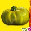 Graines bio Tomate Evergreen AB