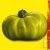 Graines bio Tomate Evergreen AB