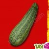 Graines bio Courgette Grisette de Provence AB