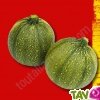 Graines bio Courgette de Nice � fruit rond AB