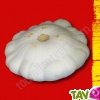 Graines bio Courge Patisson blanc AB