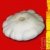 Graines bio Courge Patisson blanc AB