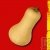 Graines bio Courge Butternut Doubeurre AB