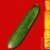 Graines bio Concombre Vert Long Maraicher AB