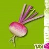 Graines bio Navet De Milan Rouge AB