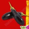 Graines bio Aubergine de Barbentane AB