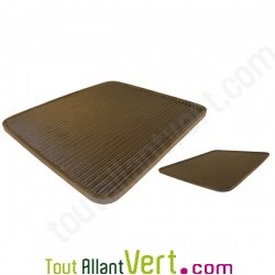 Plaque grill recto verso plancha en fonte de fer �cologique Skeppshult
