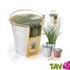 Pot zinc de culture + terreau et graine, 12 cm
